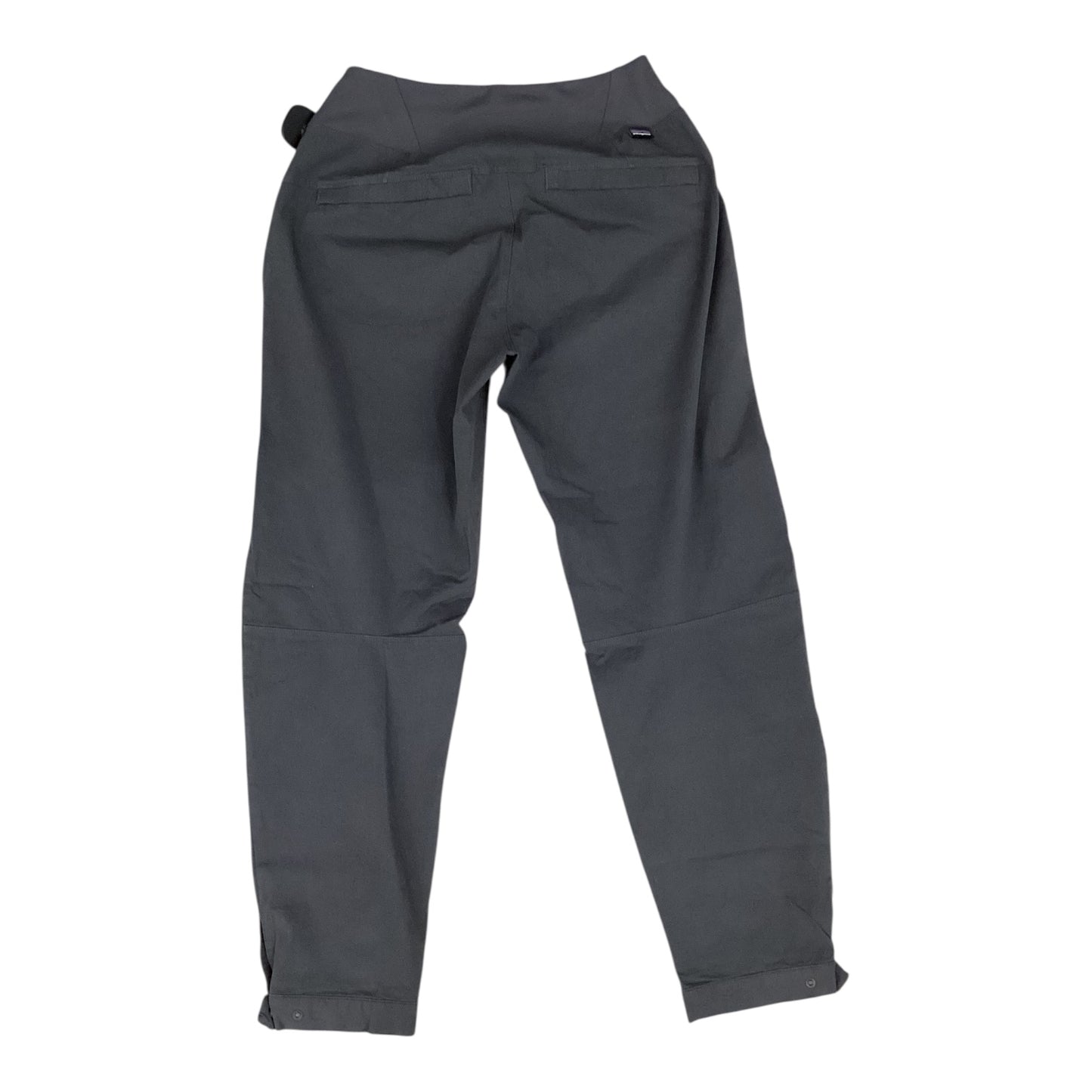 Athletic Pants By Patagonia In Grey, Size:4