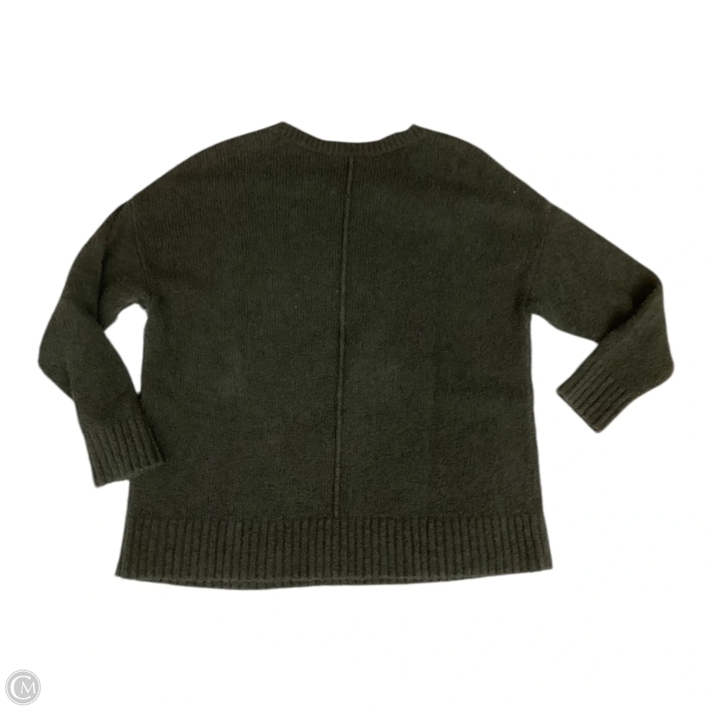 Top Long Sleeve By Eileen Fisher In Green, Size: 1x