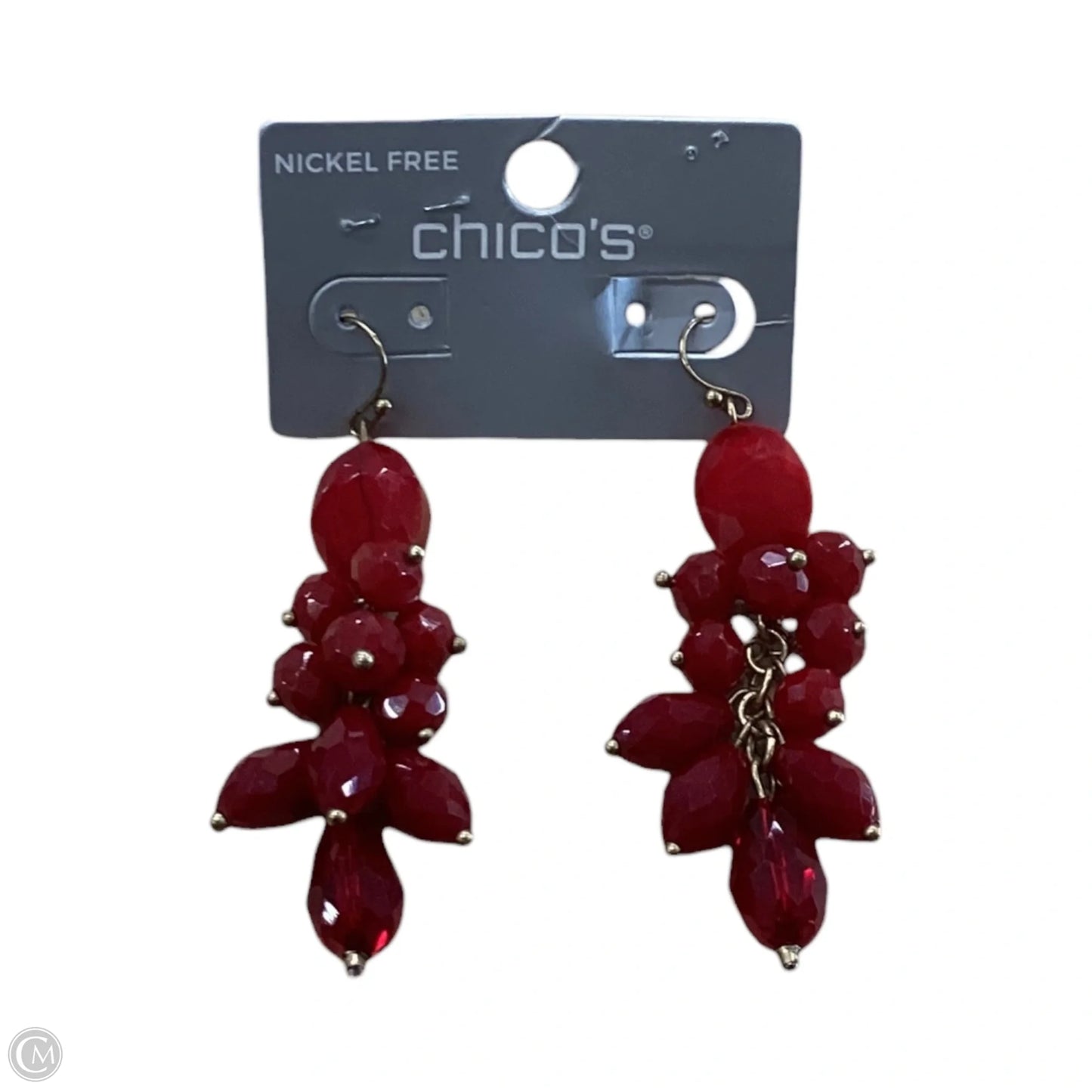 Earrings Dangle/drop By Chicos