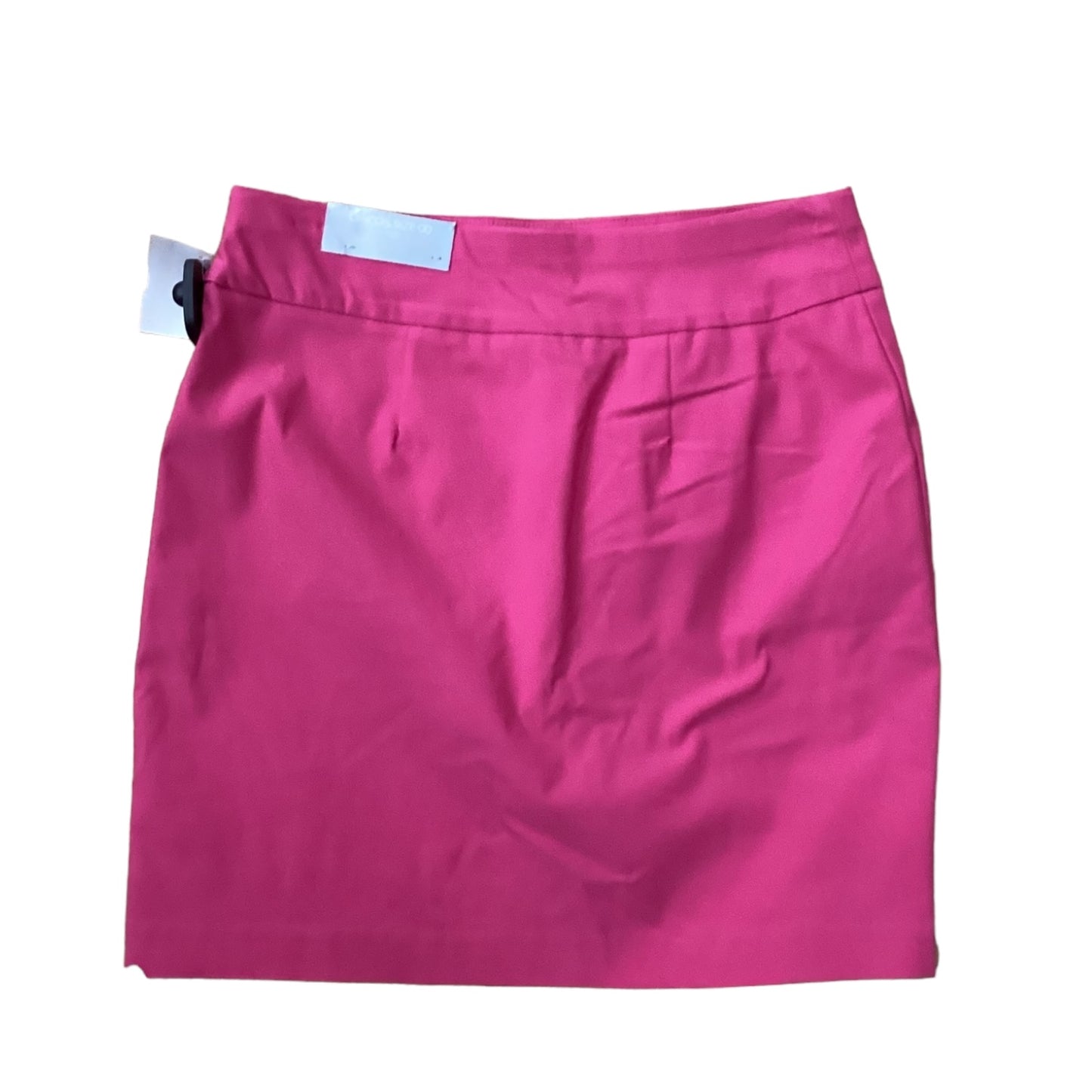 Pink Skirt Mini & Short Chicos, Size 00