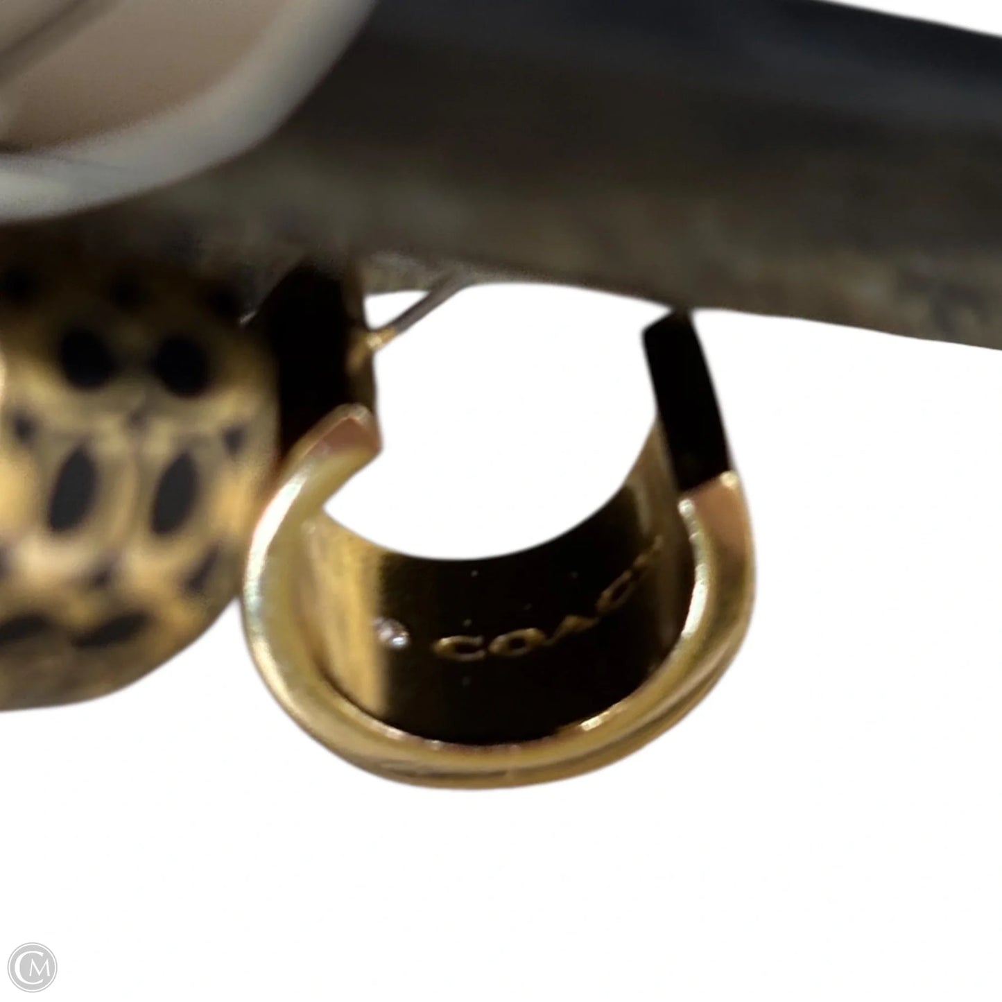 Earrings Designer By Coach