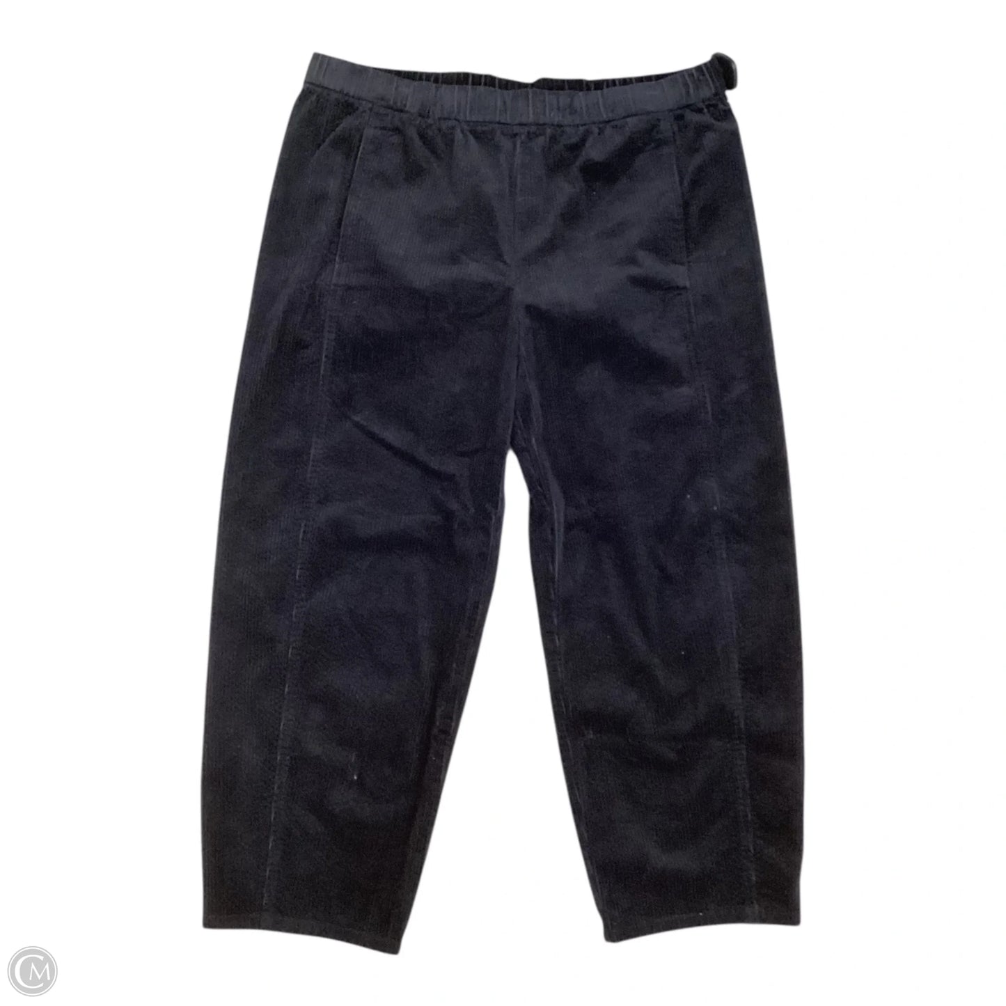 Pants Corduroy By Eileen Fisher In Black, Size: 16