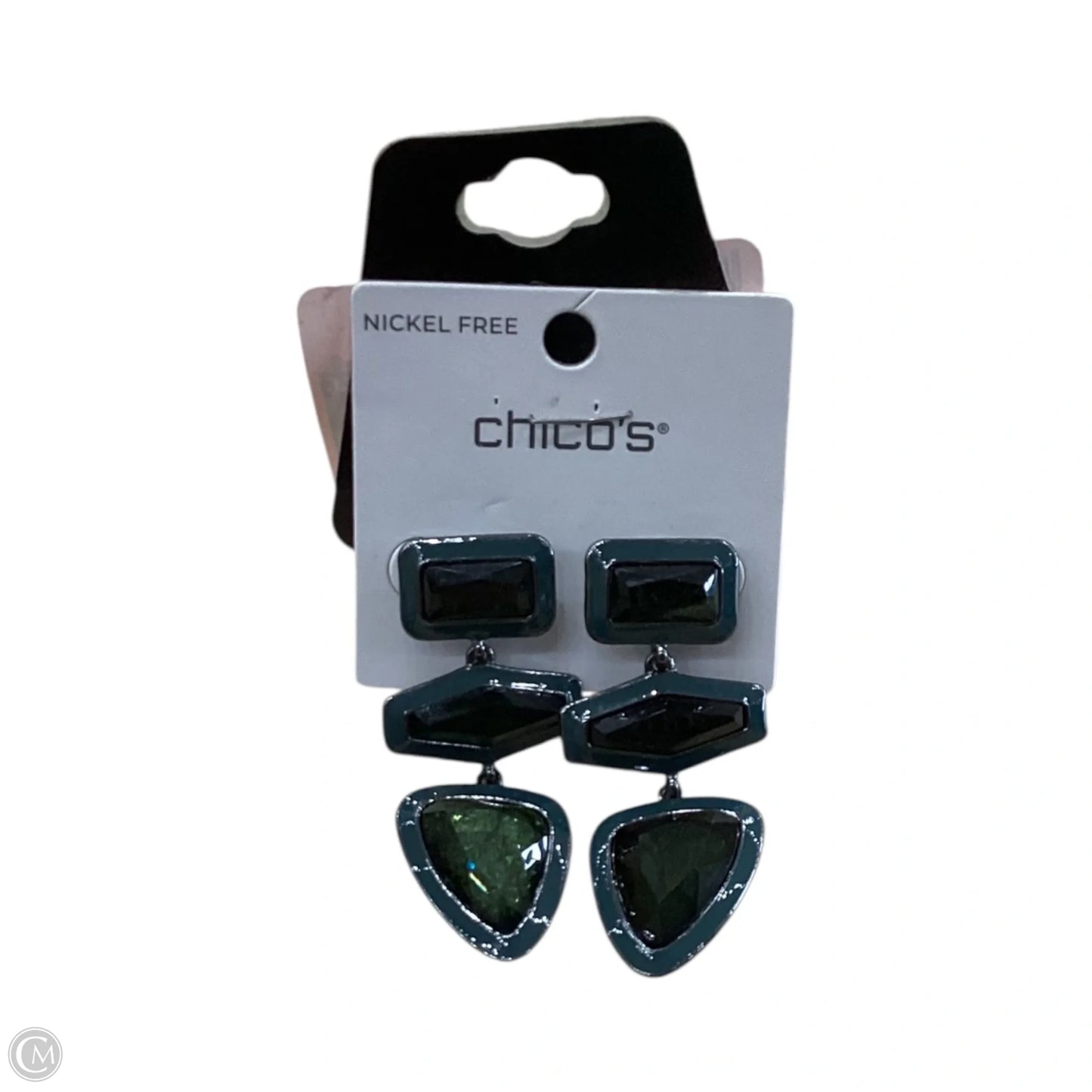 Earrings Dangle/drop By Chicos