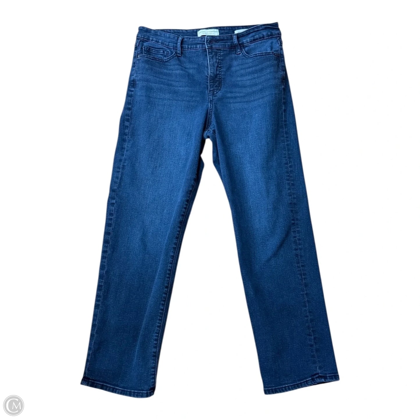 Jeans Straight By Social Standard By Sanctuary In Blue Denim, Size: 10