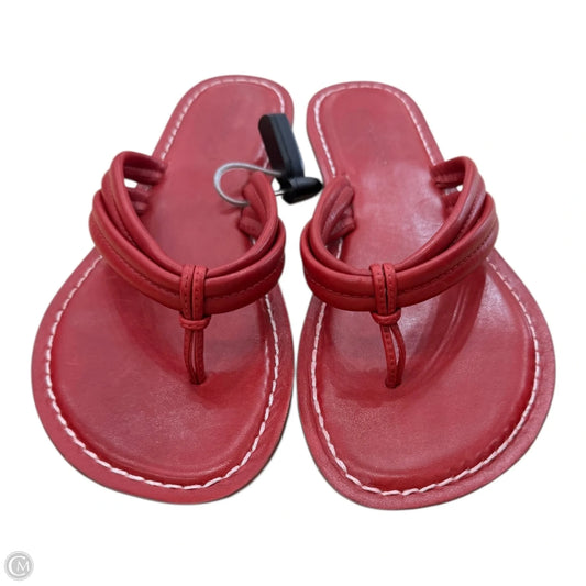 Sandals Flip Flops By Bernardo In Red, Size: 10