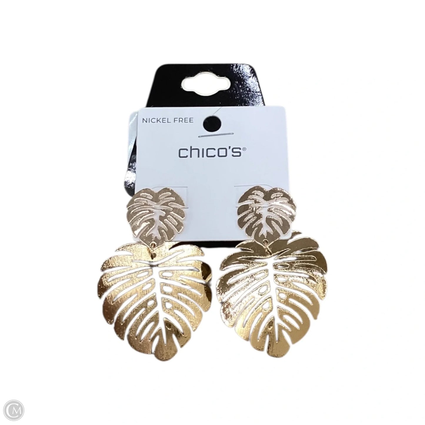 Earrings Dangle/drop By Chicos